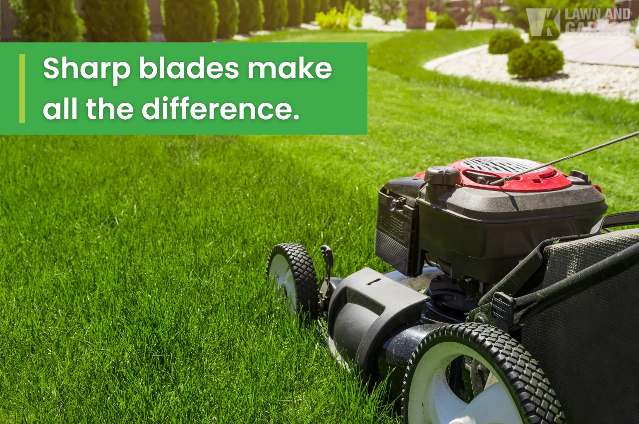 Close-up of lawn mower cutting thick green grass with sharp blade.