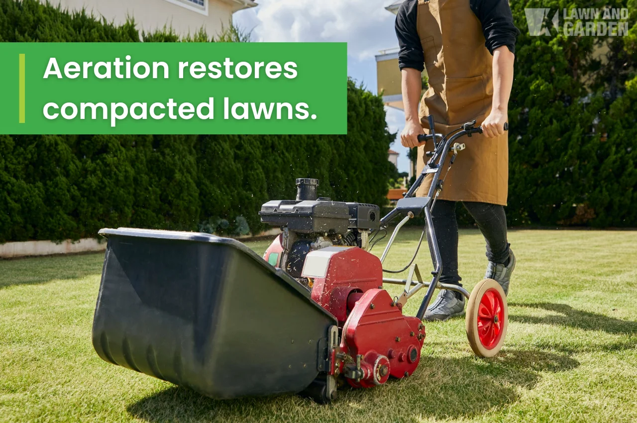 Worker using aerator machine to treat compacted lawn area.